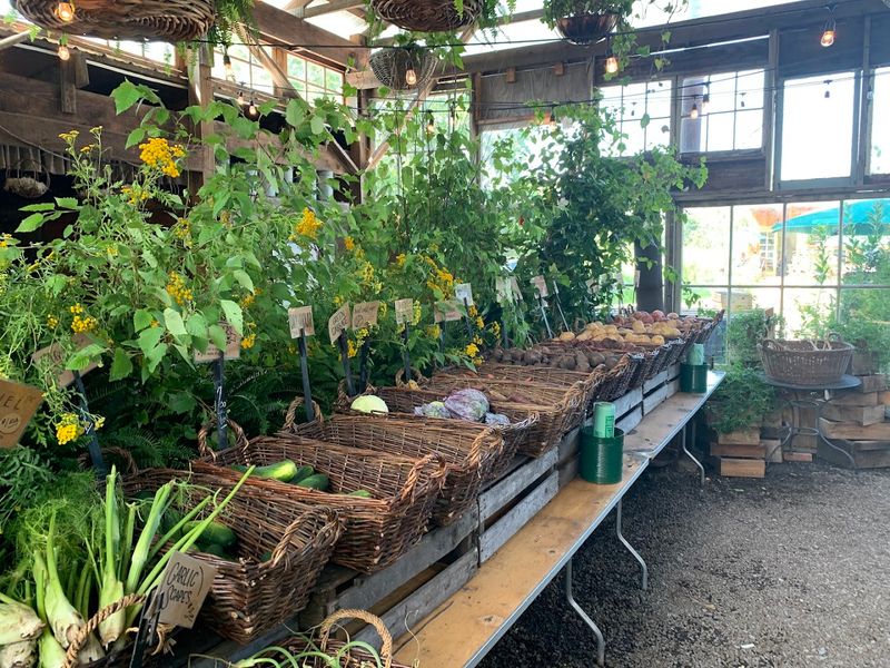 Blooming Hill Farm
