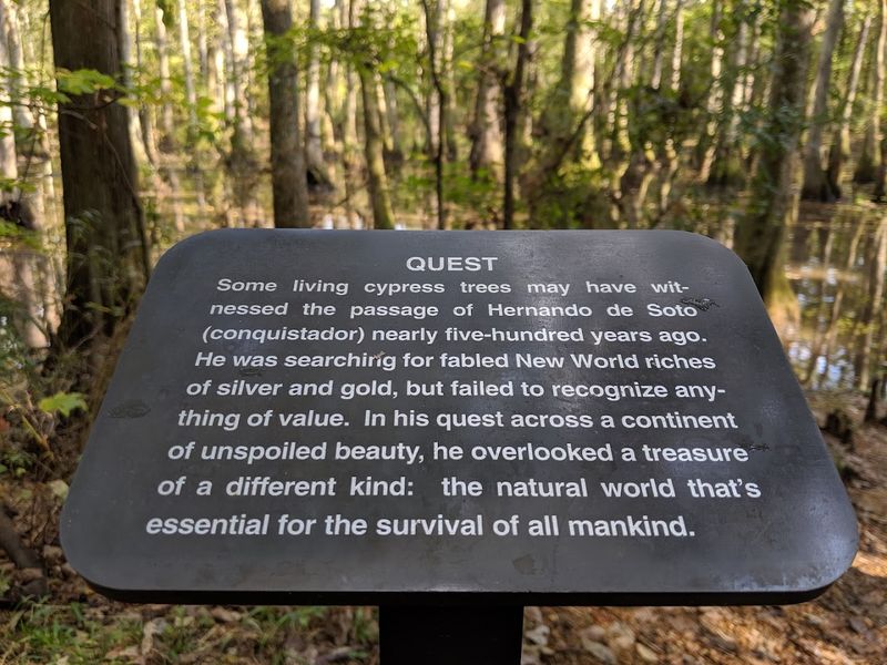 Cypress Swamp Drive On The Natchez Trace