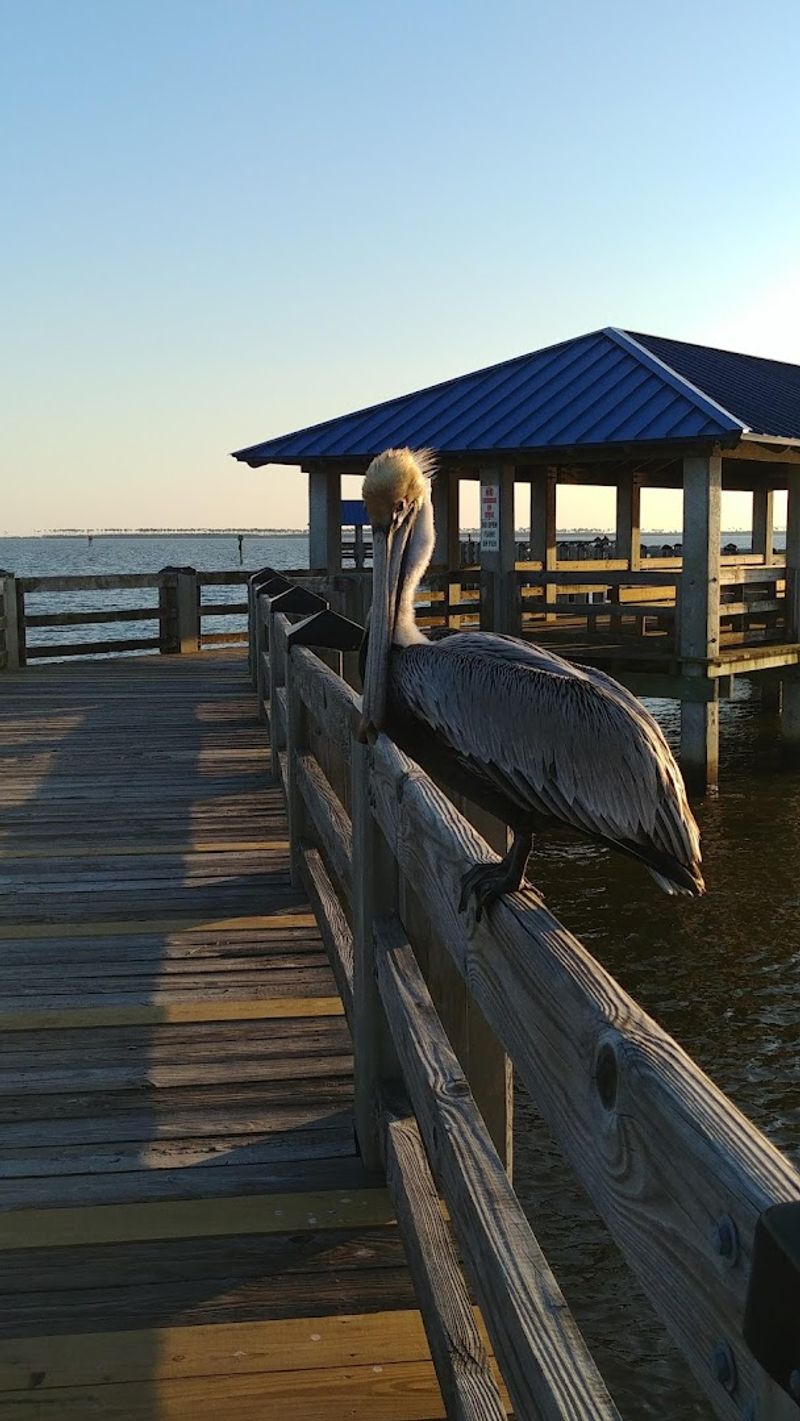 Ocean Springs