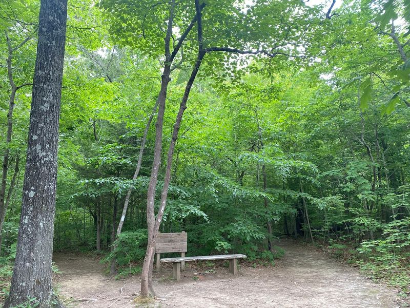 Best Hiking Trails To Reach Serene Waterfall Spots