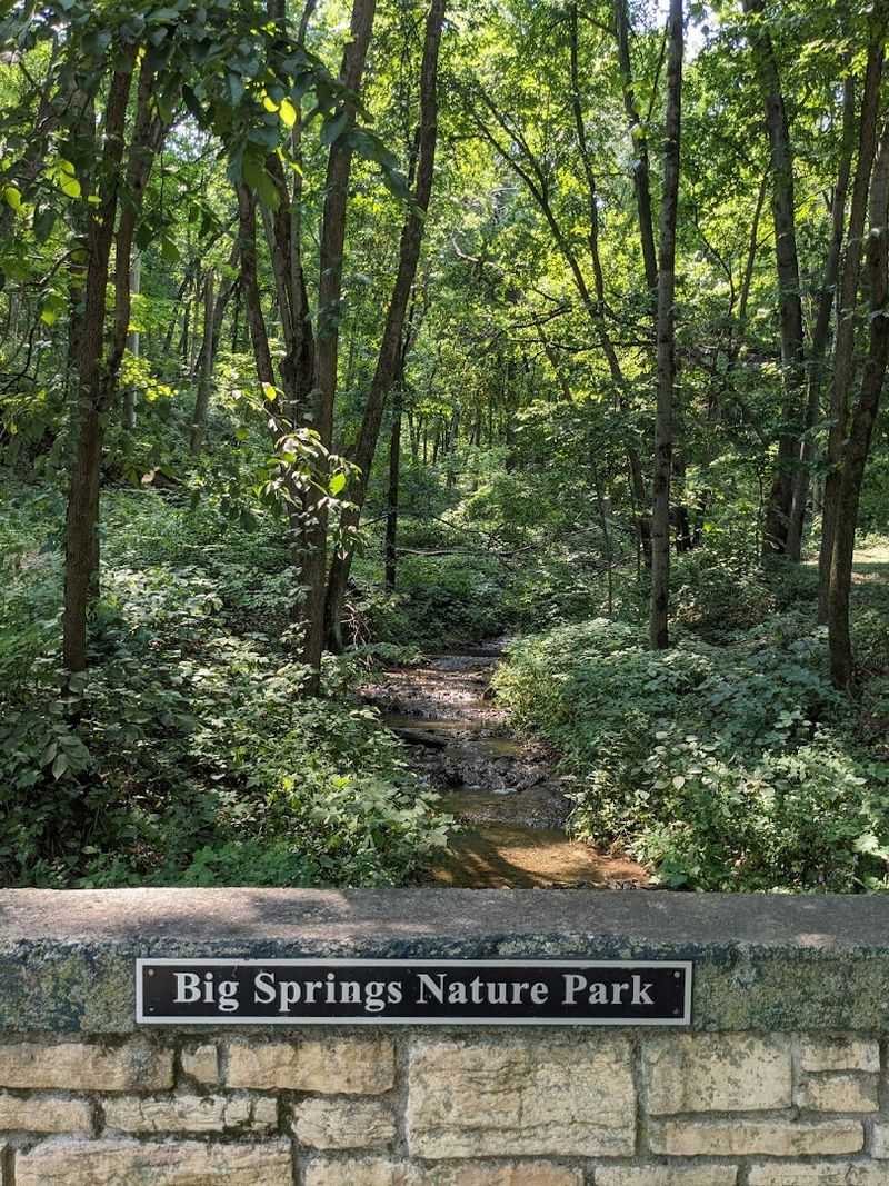 Local Wildlife And Birdwatching Opportunities