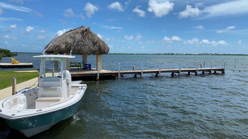 Local Marine Life And Coral Reef Conservation