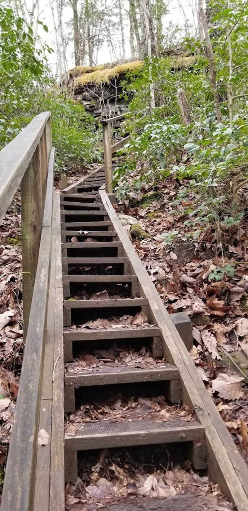 Trail Difficulty