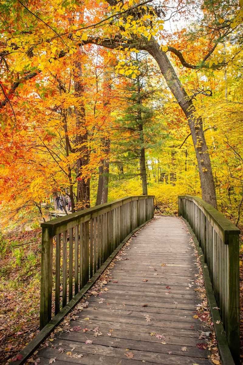 The Ice Age National Scenic Trail Runs Through The Park