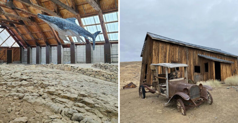 Nevada’s Ancient Sea Monster Fossil Park Also Hides One Of The State’s Best Ghost Towns