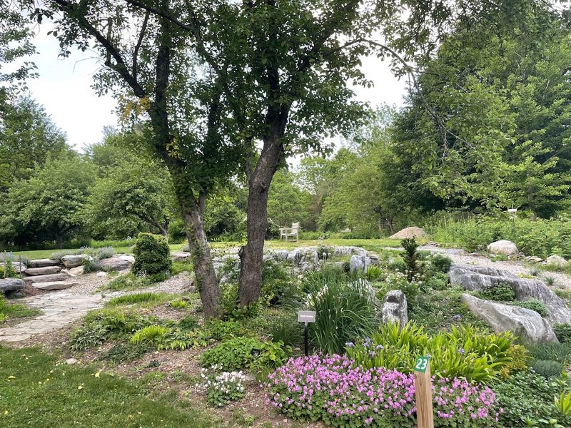 Acton Arboretum, Acton