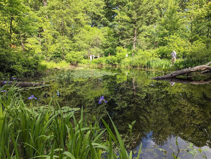 Garden In The Woods, Framingham