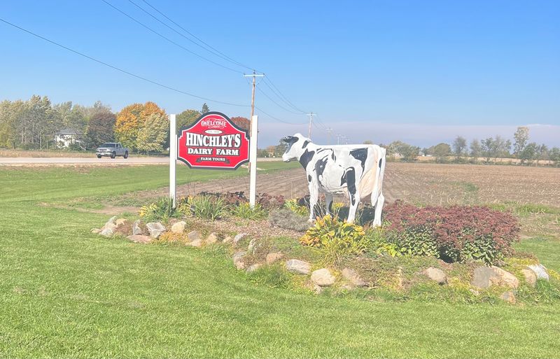 Hinchley's Dairy Farm Tours, Cambridge