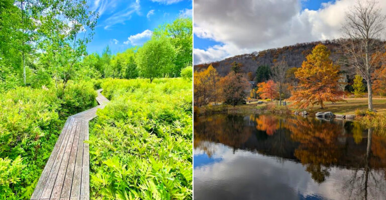 New York Has A Park So Serene Even A Short Walk Feels Like A Full Escape
