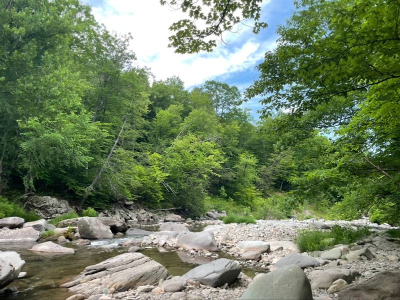Woodland Valley Campground