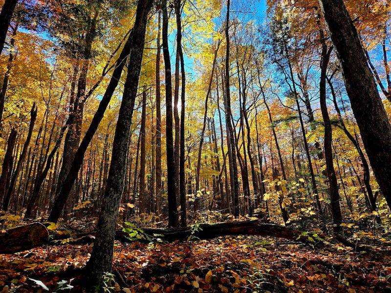 Fall Foliage Turns This Drive Into Something Unrepeatable