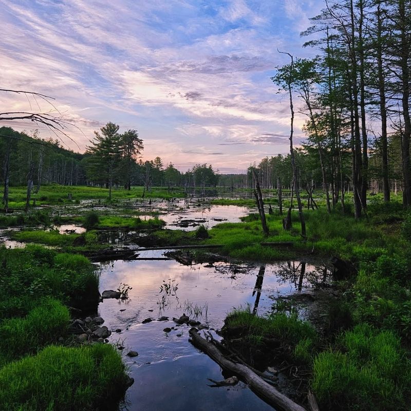 Ware River Watershed, Barre