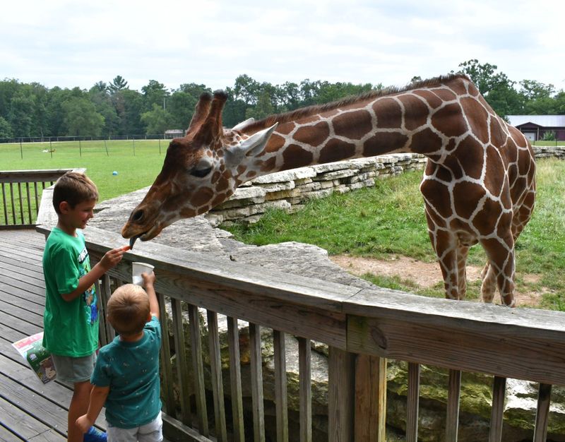 It Is A ZAA Accredited Zoo