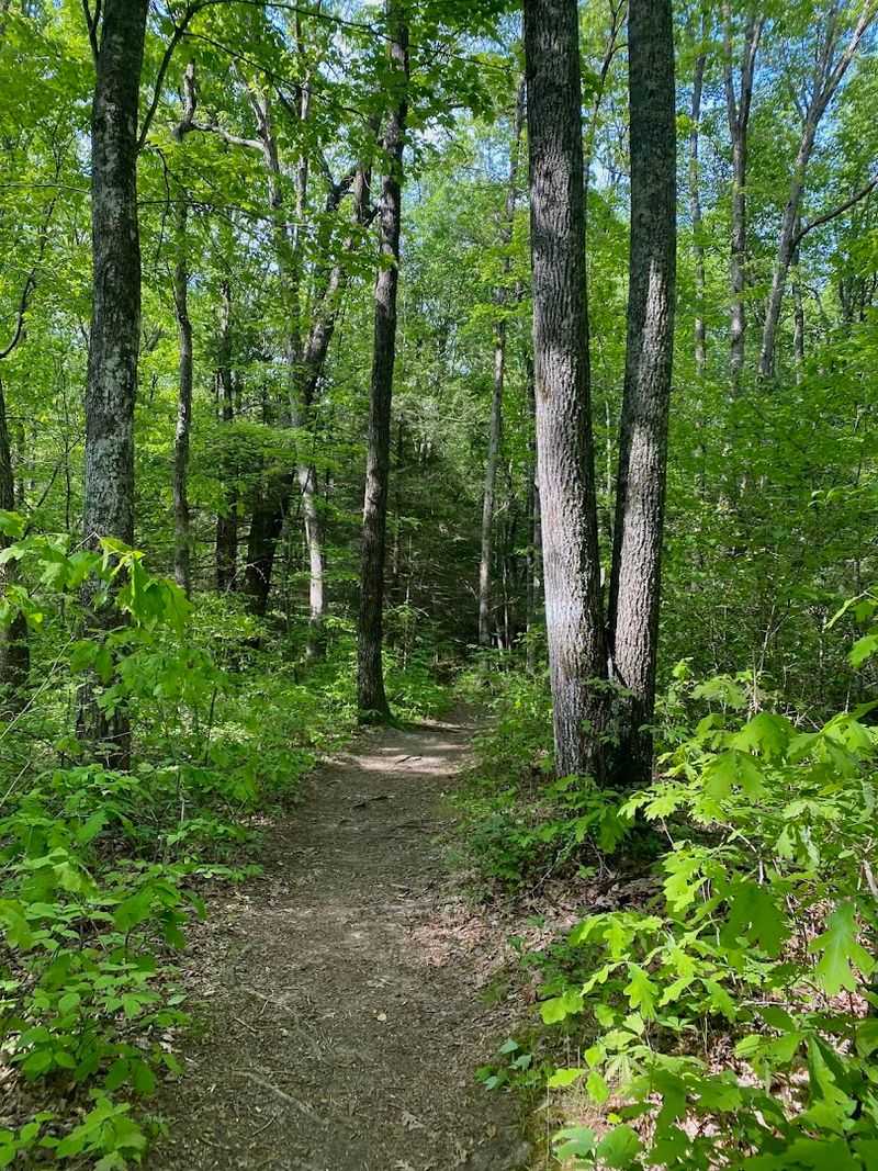 The Loop Trail