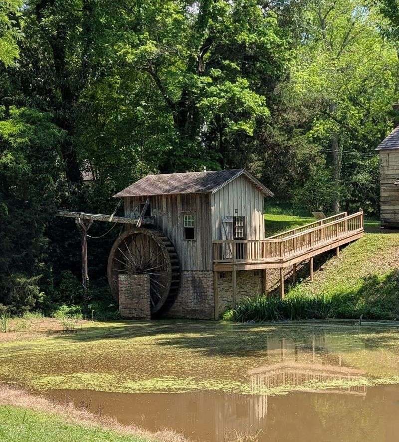 Grand Gulf Military State Park
