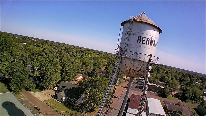 Hernando