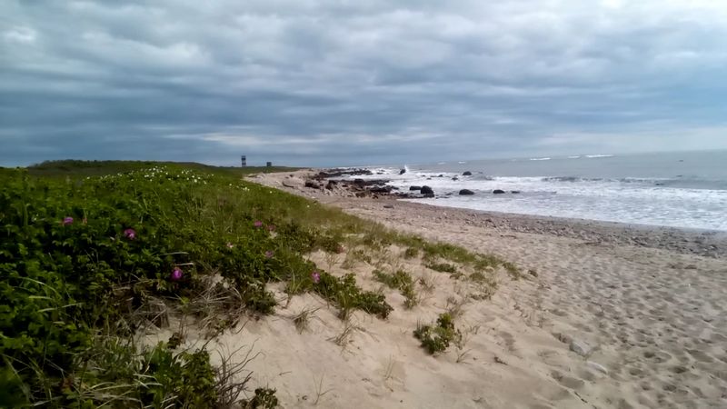 Swimming, Surfcasting, And Kayaking All In One Place