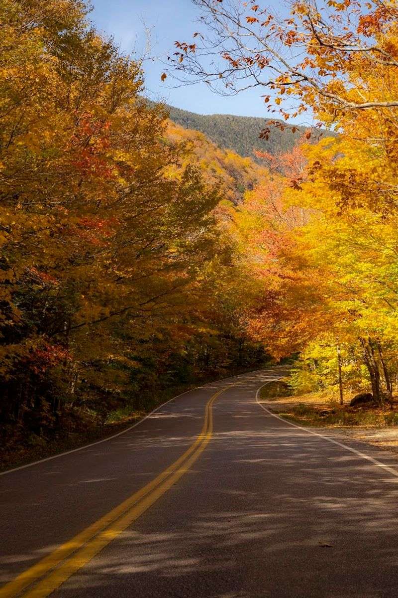 Tips For A Safe And Enjoyable Drive