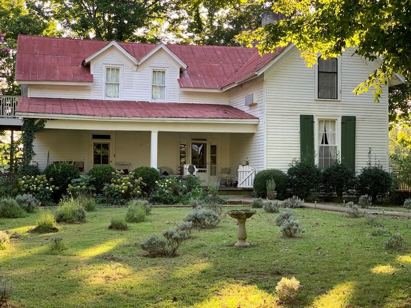 The Farm Store And Its Organic Treasures