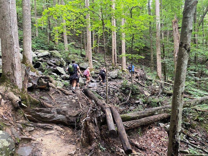 Scenic Nature Trails And Hiking Experiences