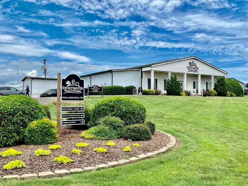 The Udderstory Exhibit Brings Dairy Education To Life