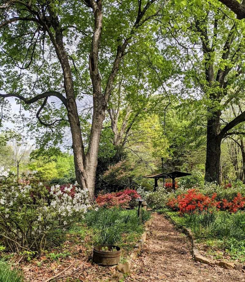 Tennessee's First Level Three Arboretum In Germantown