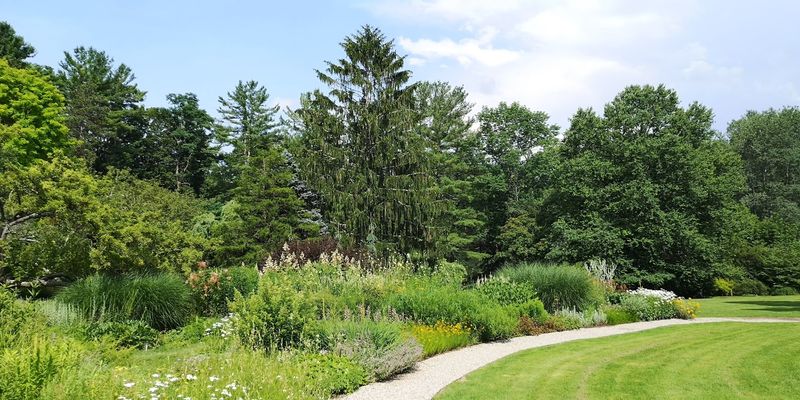 The Wildflower Meadow That Opened In 2023 Is Worth The Trip Alone