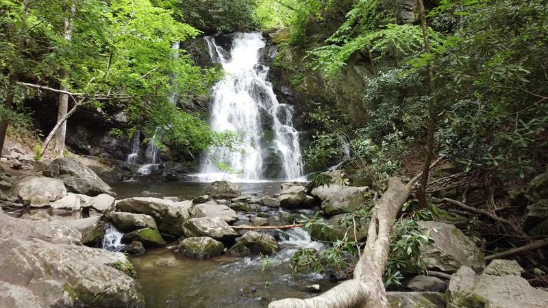 Spruce Flats Falls, Townsend