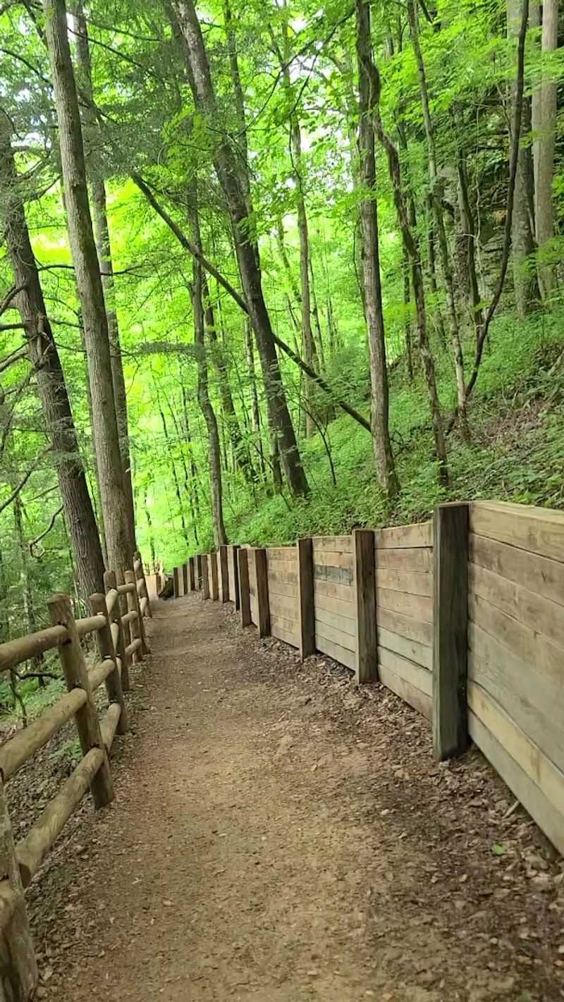 Cummins Falls Trail, Cookeville
