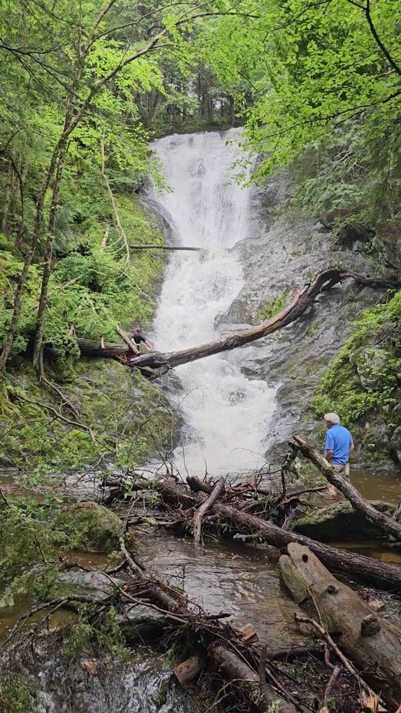 Best Seasons To Visit For Maximum Impact
