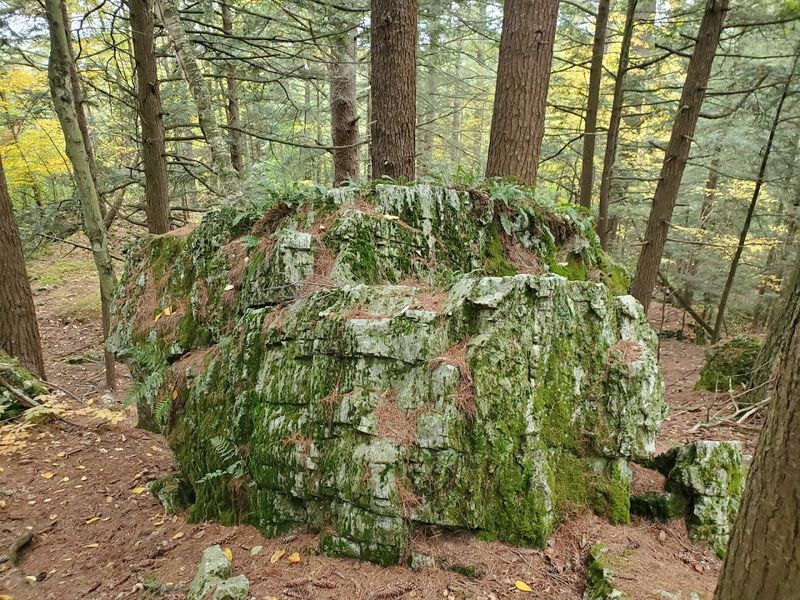 Bartholomew's Cobble, Ashley Falls