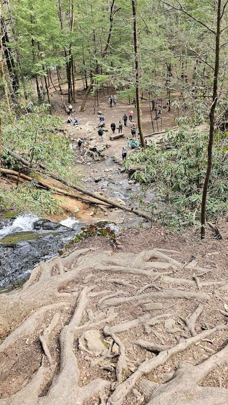 Wildlife And Safety Awareness On The Trail