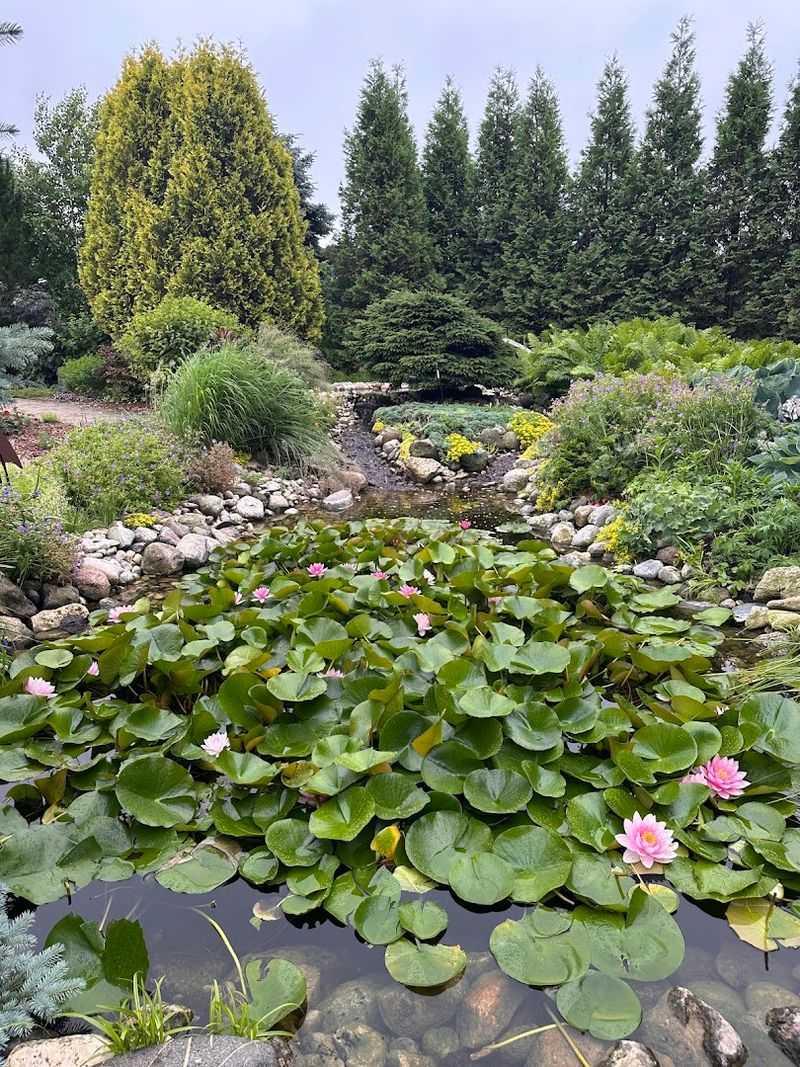 The Pond, Rose Garden, And Shade Garden Add Variety