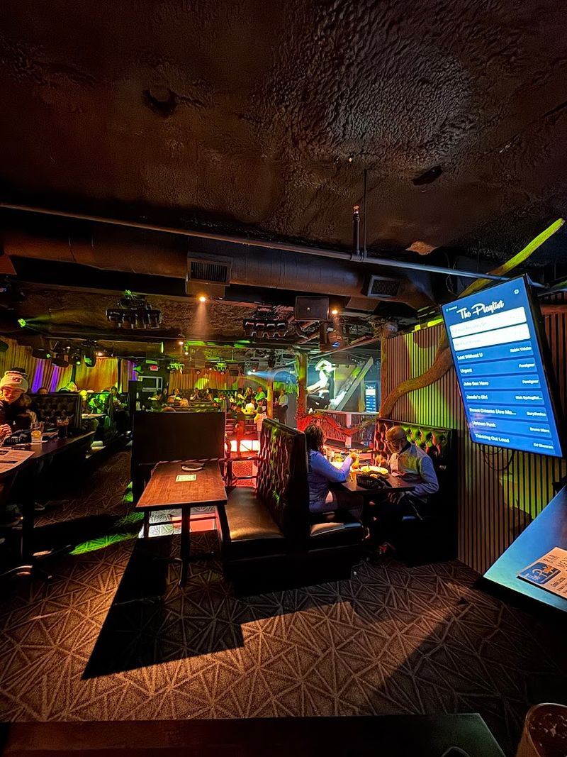 The Atmosphere: Concert Lights, Lasers, And Haze In A Dining Room