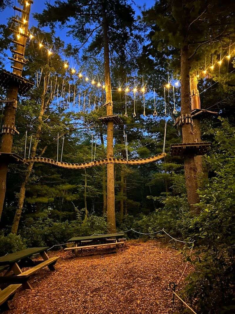 The Forest Setting Makes Every Obstacle Feel Cinematic