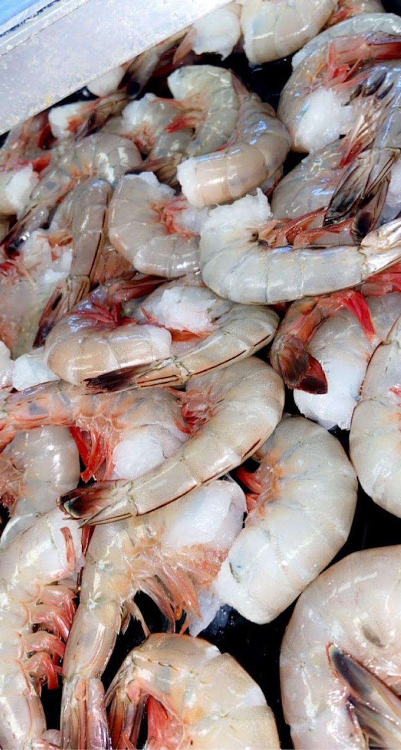 How The Pricing Compares To Coastal Seafood Markets In Florida
