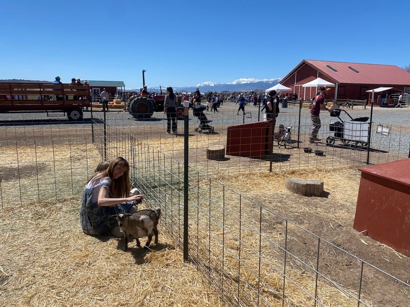 It Blends Farm Fun, Fresh Air, And Easy Family Activities