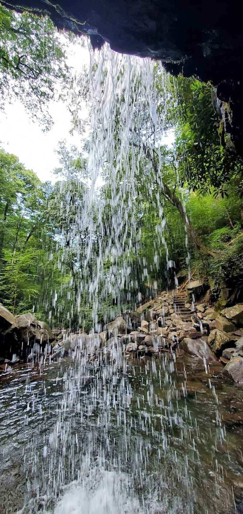 Why Visitors Consistently Rate This Among The Best Smoky Mountain Experiences
