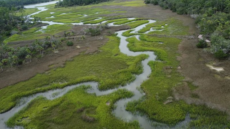 Environmental Importance Of Coastal Ecosystems