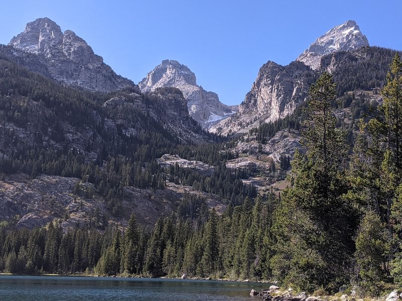 Conservation Efforts Preserving Natural Beauty