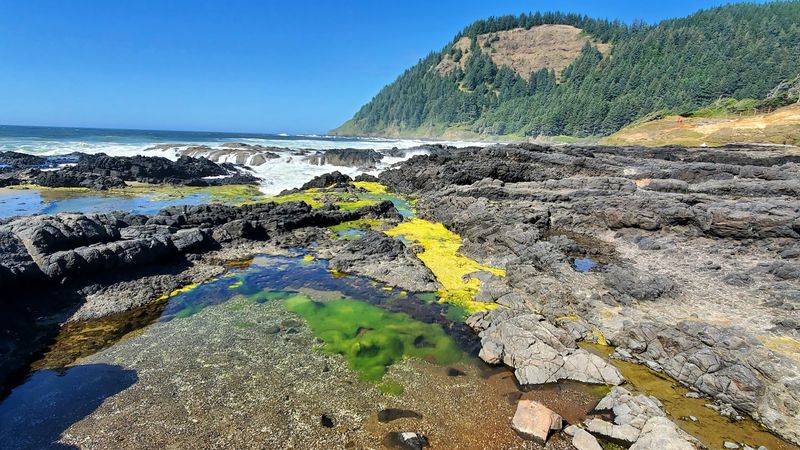 A Closer Look At The Tide Pools Nearby