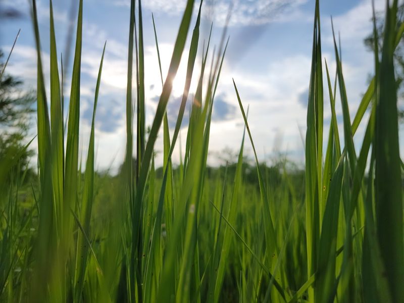 Seasonal Changes Impacting Water Quality And Clarity
