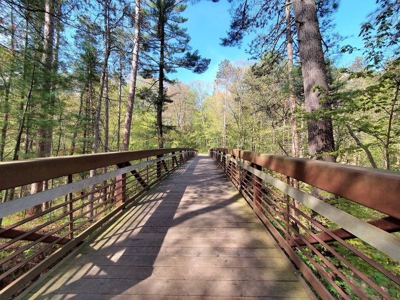 Seasonal Changes And Their Impact On The Landscape