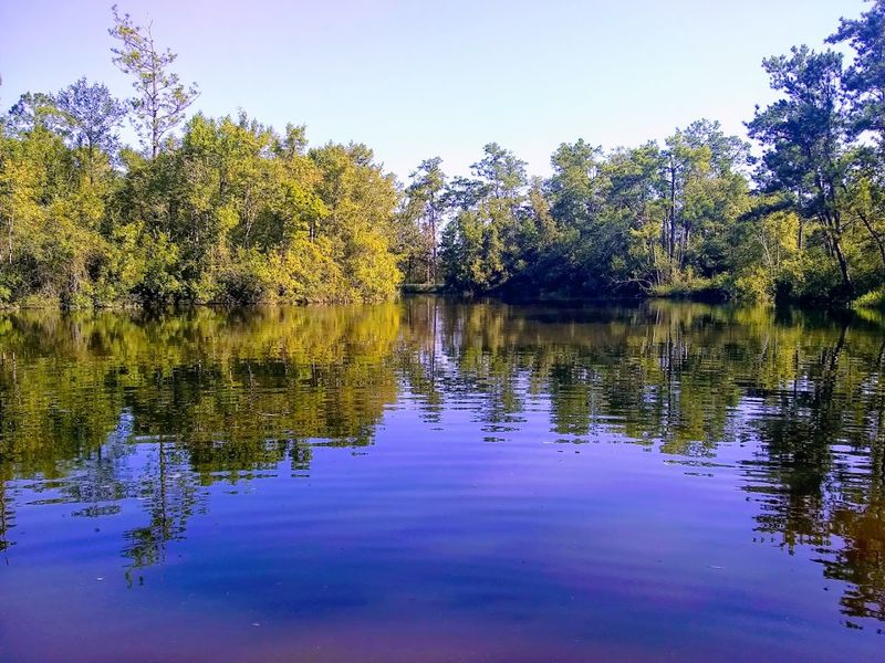 The Wilderness Trail That Rewards Patient Explorers