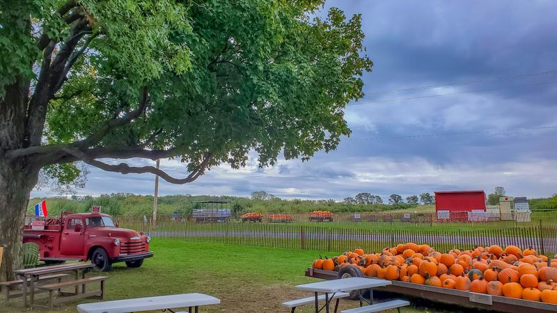Pumpkins Add To The Fall-Day-Trip Charm