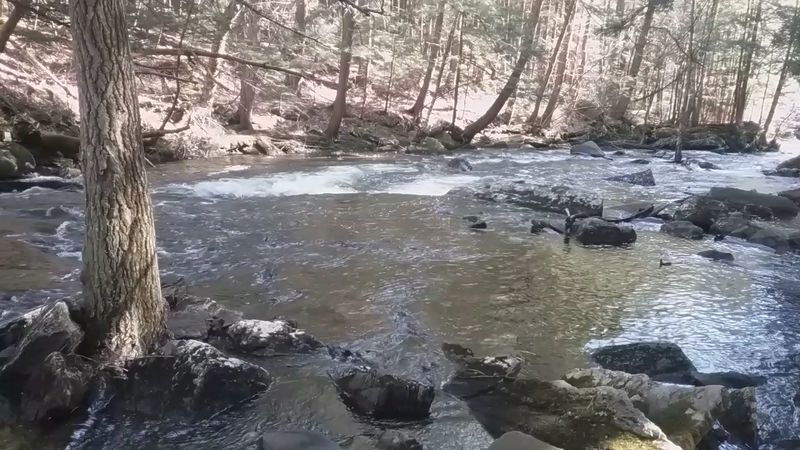 Fishing Downstream From The Falls Is Worth The Early Morning Drive