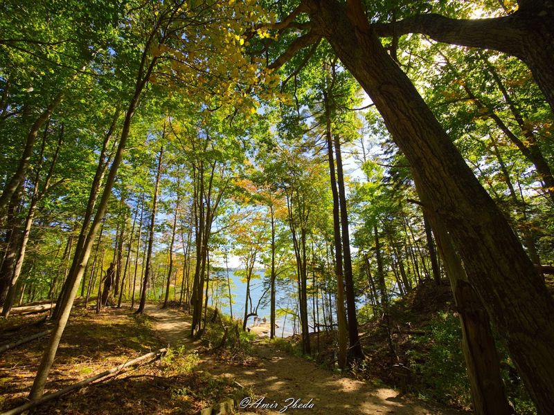 Seasonal Flora And Its Healing Effects