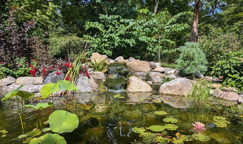 Birds, Butterflies, And The Wildlife That Calls This Place Home