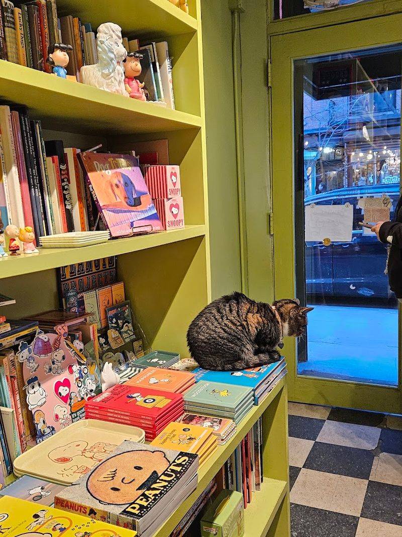 The Art Of Organizing Books By Species