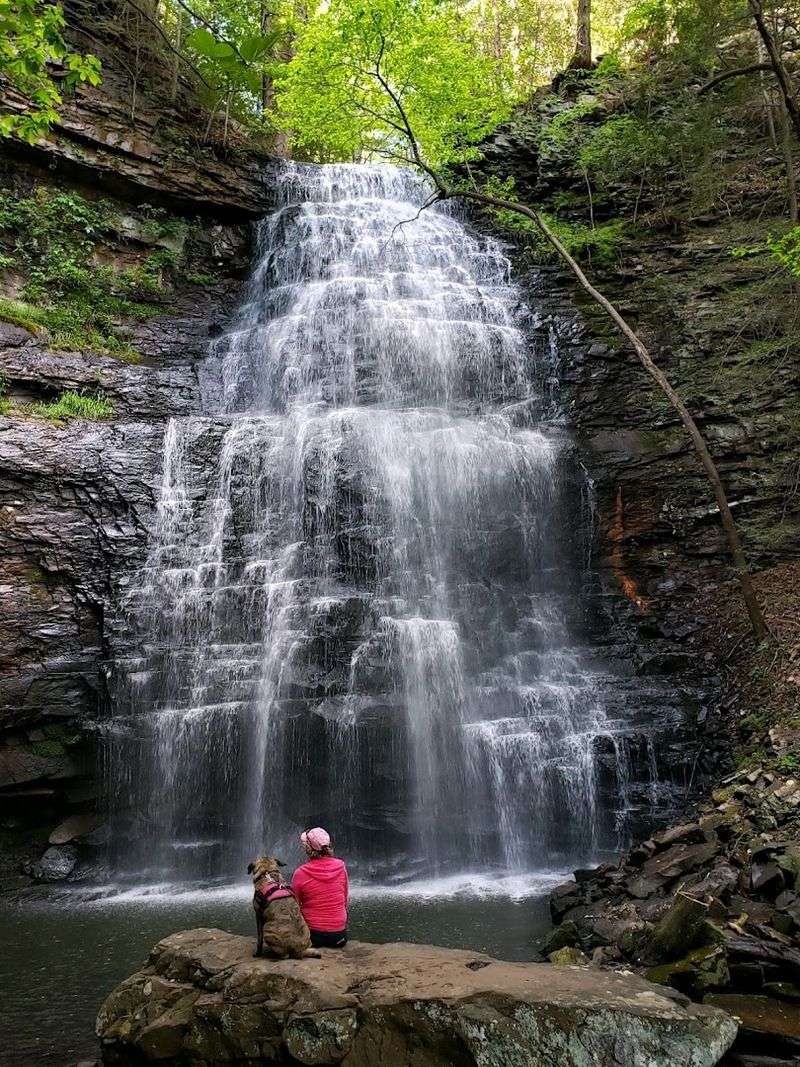 Denny Cove Falls, Sequatchie